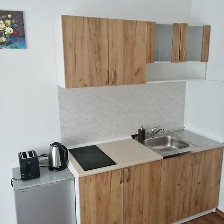 Guest house Бялата Къща Bansko